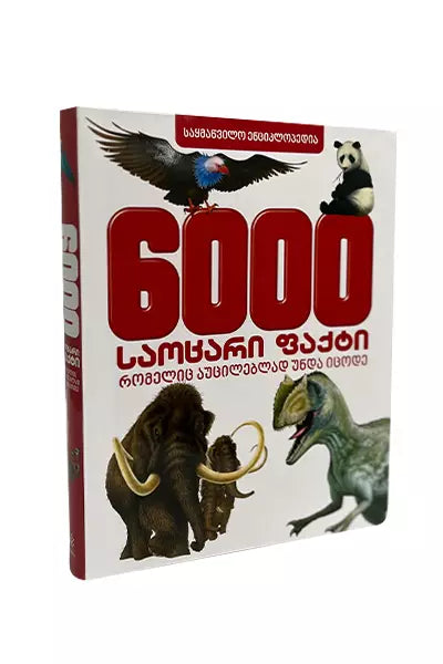 6000 საოცარი ფაქტი რომელიც აუცილებლად უნდა იცოდე